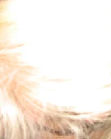 Horny gf 097 threesome