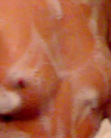 Russian horny gf 039